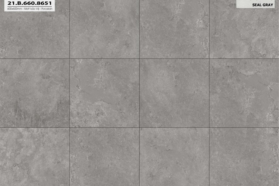 bo-suu-tap-gach-op-lat-limestone-2-0-21-b-660-8651-4